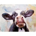 Original Leinwandbild &quot;Cow&quot; 90 x 120 cm 