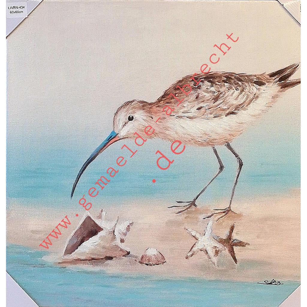 Original Leinwandbild &quot;Strandvogel mit Muscheln II&quot; 60 x 60 cm