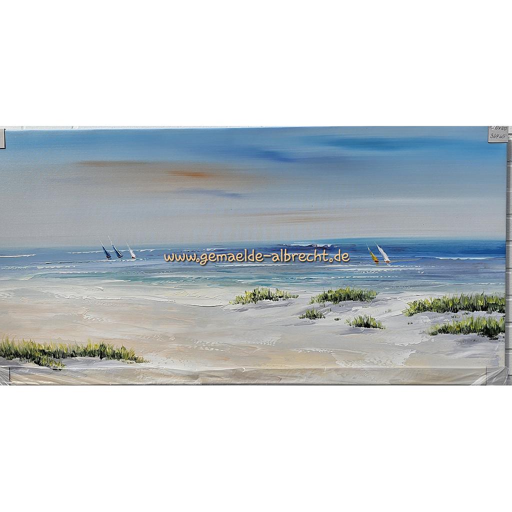 Org. Leinwandbild &quot;Lange Düne&quot; 60x120 cm 