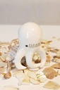 Deko/Stecker Mini Tintenfisch &quot;Beachtime&quot; Keramik creme 8 cm