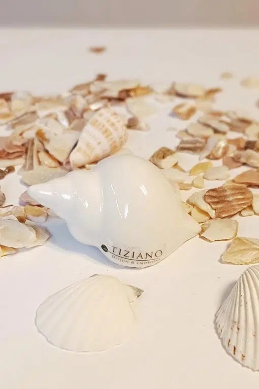 Deko/Stecker Mini Muschel &quot;Beachtime&quot; Keramik creme 8 cm 
