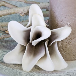 [2100000129331] Foam Flower &quot;Rumba&quot; weiss/taupe L 18 cm