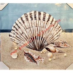 [2100000033102] Original Leinwandbild 3D &quot;Muschel im Strand&quot; 60  x 60  cm