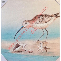 [2100000032075] Original Leinwandbild &quot;Strandvogel mit Muscheln II&quot; 60 x 60 cm