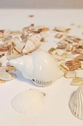 [2100000133581] Deko/Stecker Mini Muschel &quot;Beachtime&quot; Keramik creme 8 cm 